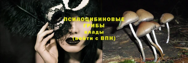 прущие грибы Арсеньев