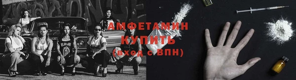 прущие грибы Арсеньев
