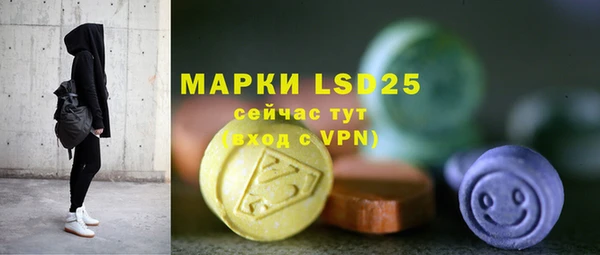 прущие грибы Арсеньев
