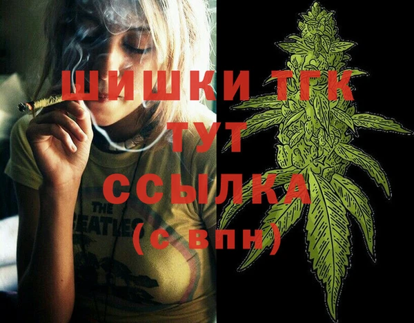 прущие грибы Арсеньев